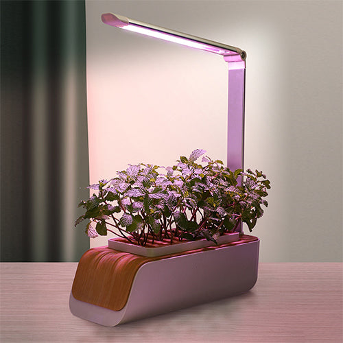 Indoor Hydroponic Planter Kit & Grow Light