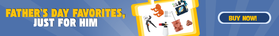 Father's Day Collection