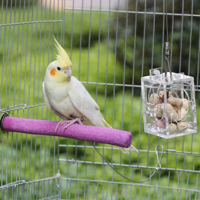 Bird Parrot Feeder