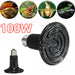 100W heating bulb for reptiles with images of lizards and frogs above it.