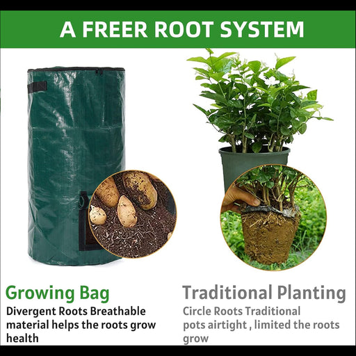 Growing bag with plants and insets showing benefits of divergent roots compared to traditional planting.