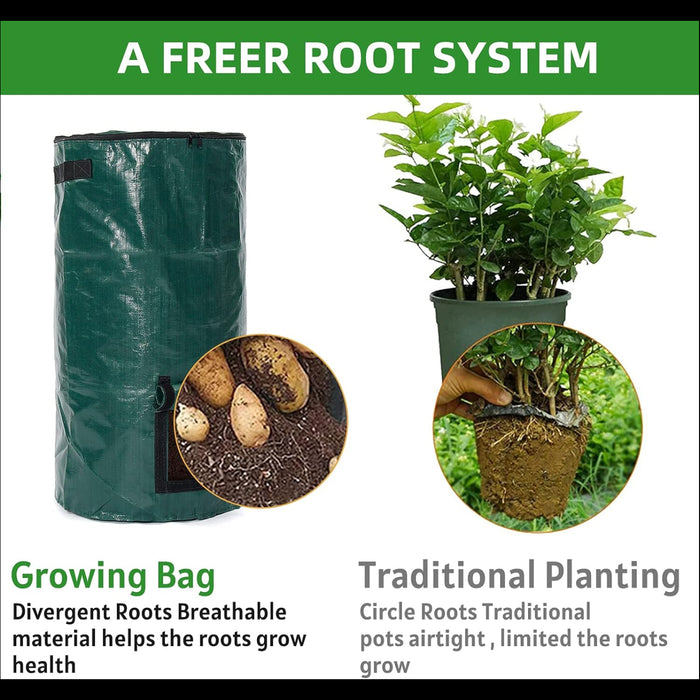 Growing bag with plants and insets showing benefits of divergent roots compared to traditional planting.