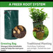 Growing bag with plants and insets showing benefits of divergent roots compared to traditional planting.