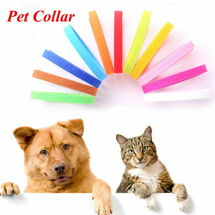 12 Colours Pet Whelping ID Collar Bands