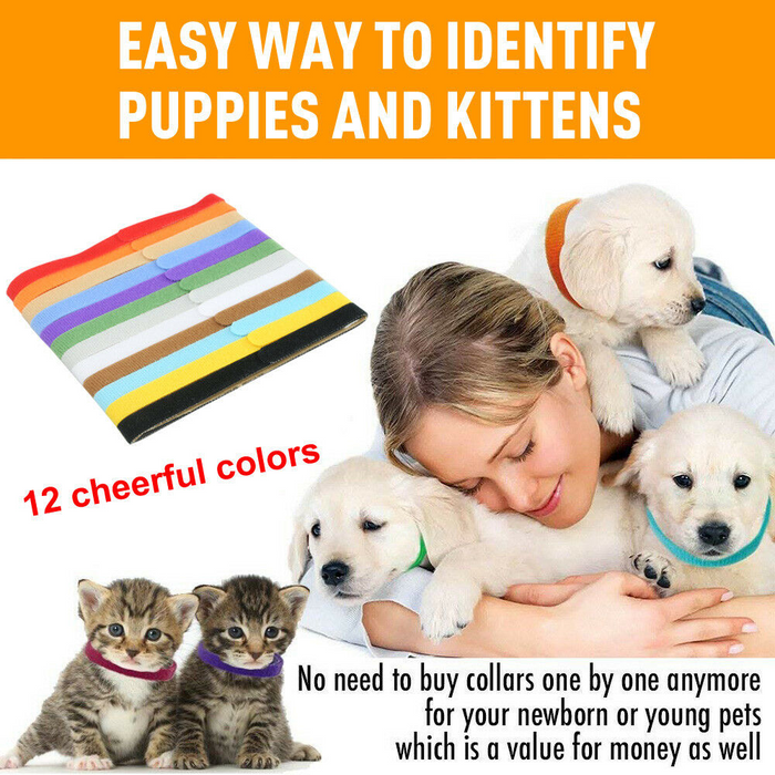 12 Colours Pet Whelping ID Collar Bands