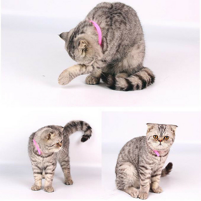 12 Colours Pet Whelping ID Collar Bands