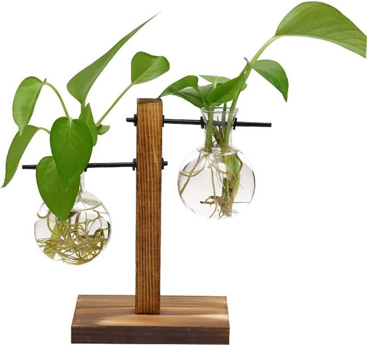 Hydroponic Vase Wooden Stand Glass Bulb Plants Container