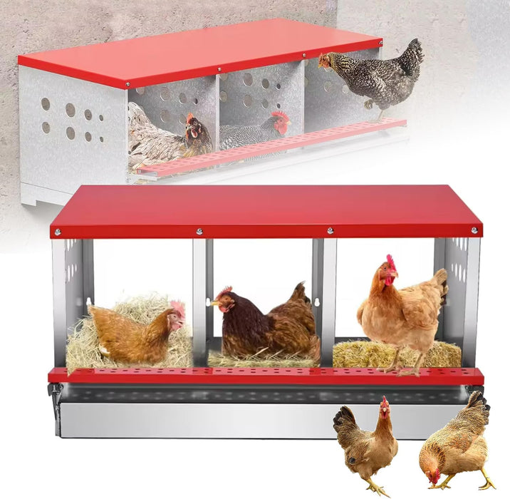 Chicken Nesting Box with 3 Holes