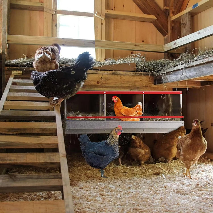 Chicken Nesting Box with 3 Holes