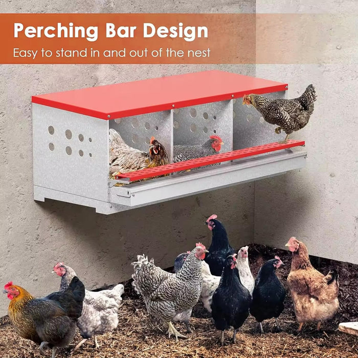 Chicken Nesting Box with 3 Holes