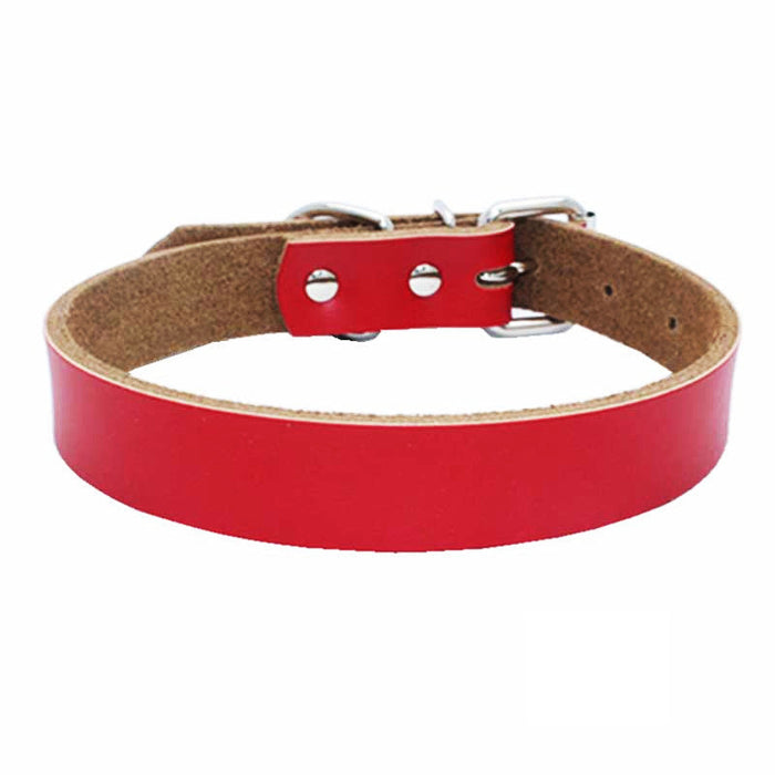 Dog Collar - XS