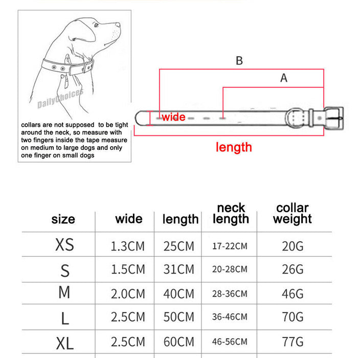 Dog Collar - XS