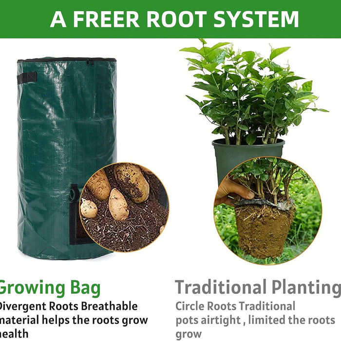 Growing bag with plants and insets showing benefits of divergent roots compared to traditional planting.