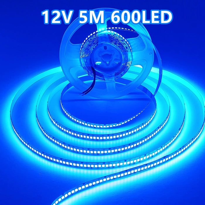 2835 12V LED Strip Light String Blue 5M 600LED