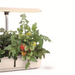 Digitus 12 Pod Indoor Garden - image 3