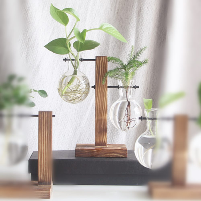 Hydroponic Vase Wooden Stand Glass Bulb Plants Container