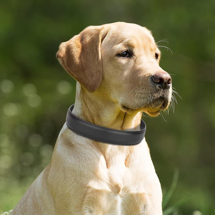 Adjustable Strong Heavy Duty PU Leather Dog Collar for Large Dogs