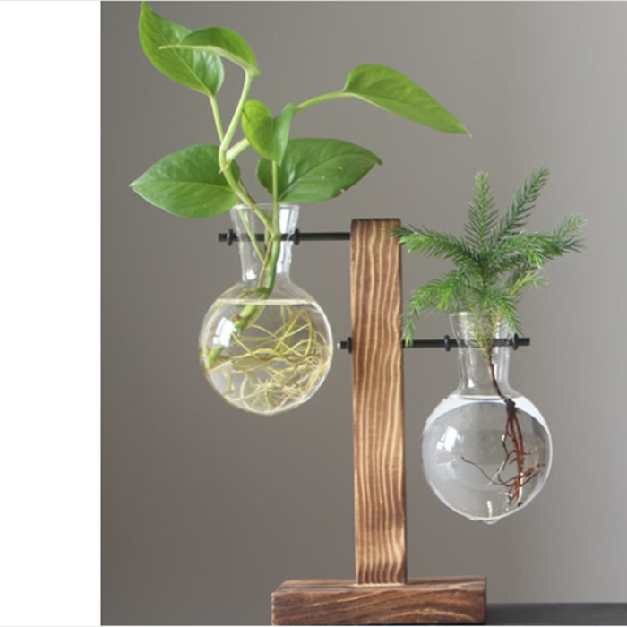 Hydroponic Vase Wooden Stand Glass Bulb Plants Container