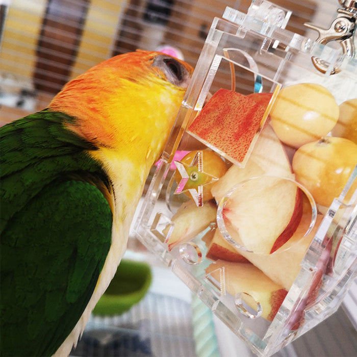 Bird Parrot Feeder