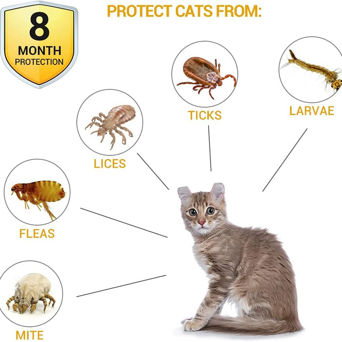 Cat product packaging with illustrations of pests and a cat, highlighting protection against ticks, larvae, lice, fleas, and mites.