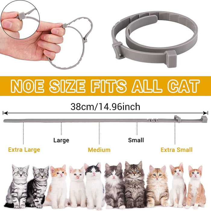Cat collar with size chart and cat breeds for reference