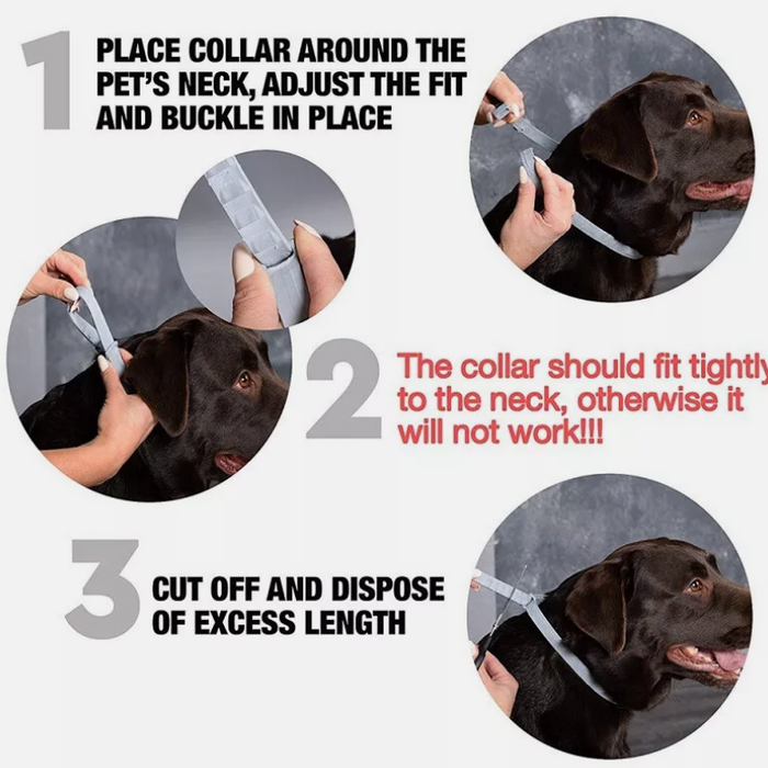 Instructions for fitting a dog collar with images of a black dog and hands adjusting the collar.