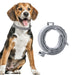 Dog wearing a gray collar with a detachable ring on a white background