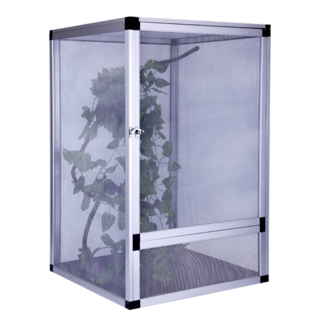 Clear plastic enclosure with plants inside on a white background