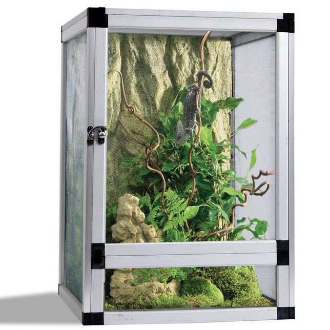 Reptile terrarium with greenery and climbing plants on a white background