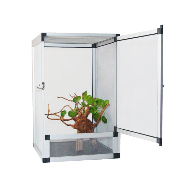 Glass terrarium with a plant on a white background