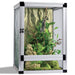 Reptile terrarium with greenery and climbing plants on a white background