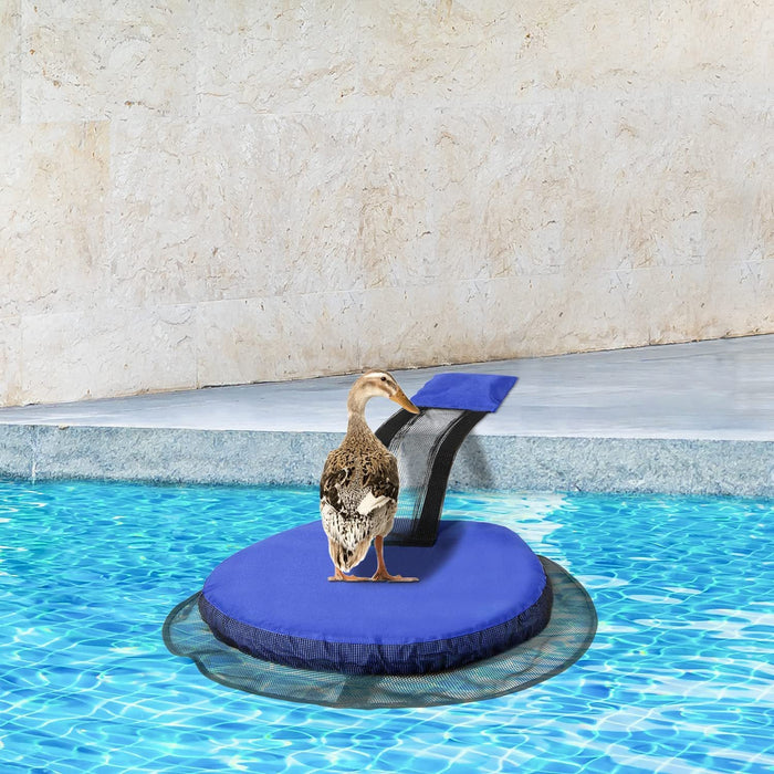 Duck standing on a blue floating platform in a pool with a beige wall background