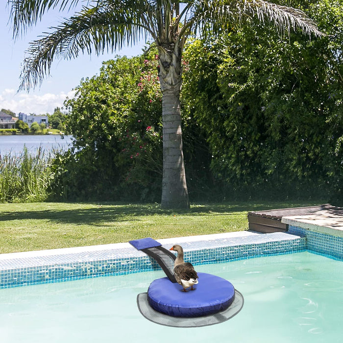 Swan on a blue platform in a pool with palm trees and greenery in the background