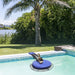 Swan on a blue platform in a pool with palm trees and greenery in the background