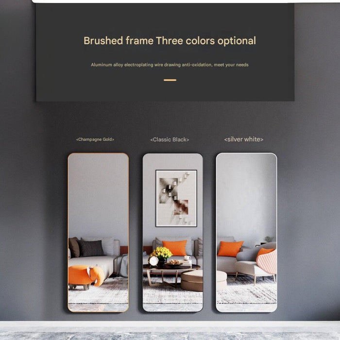 Aluminum Alloy Frame Full Size Body Mirror