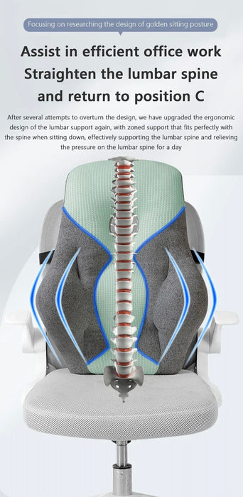 Lumbar Support Pillow for Office Chair