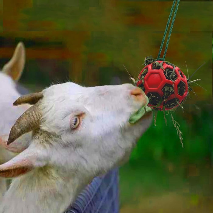 Horse Treat Ball Hay Feeder Toy