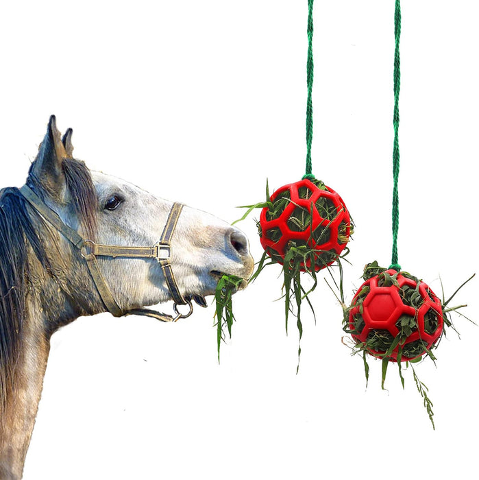 Horse Treat Ball Hay Feeder Toy