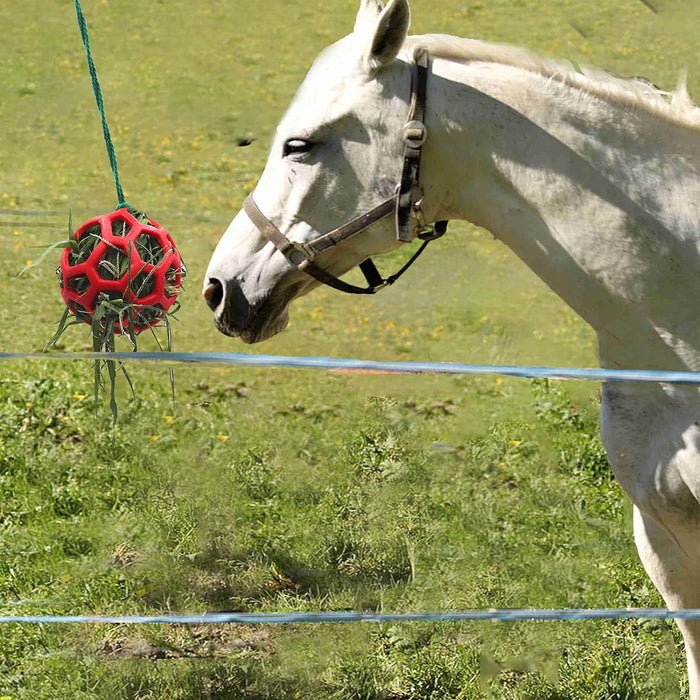 Horse Treat Ball Hay Feeder Toy