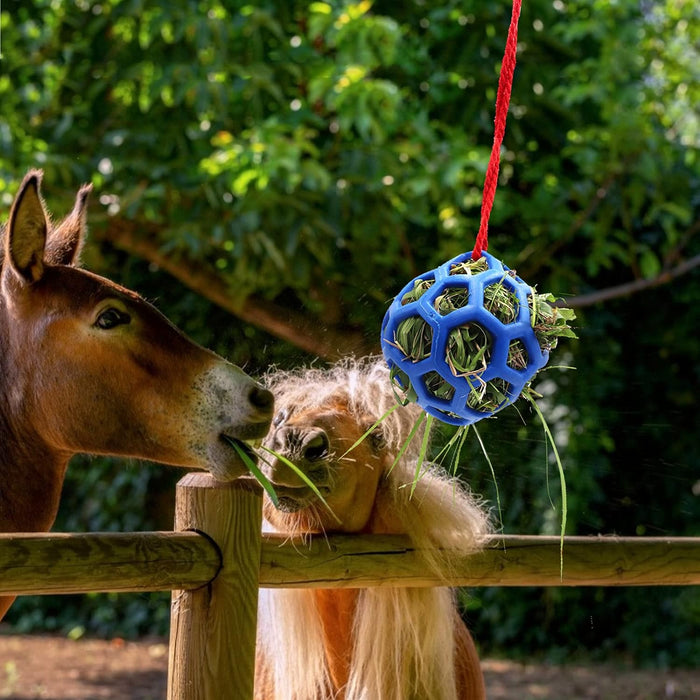 Horse Treat Ball Hay Feeder Toy