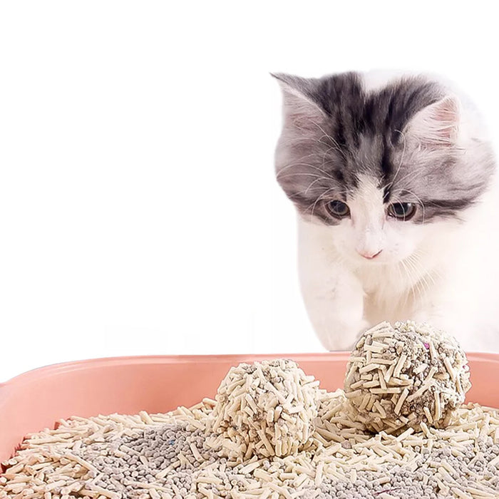 6L Tofu Cat Litter