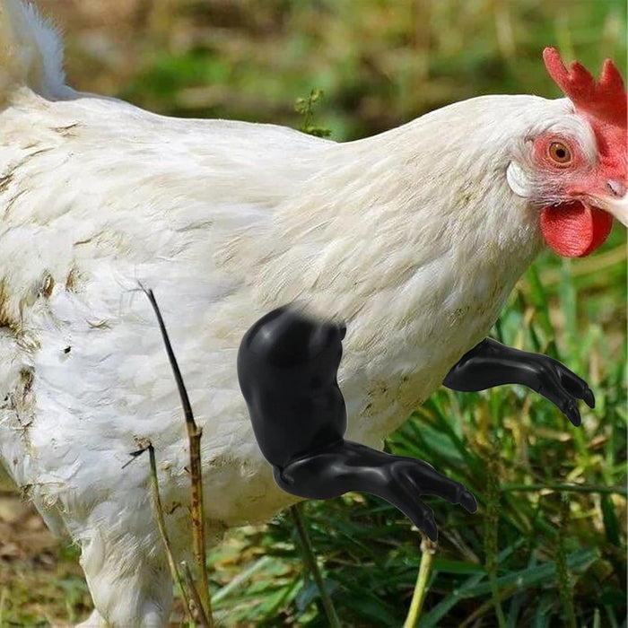 Chicken Wing Arms -4 Pack