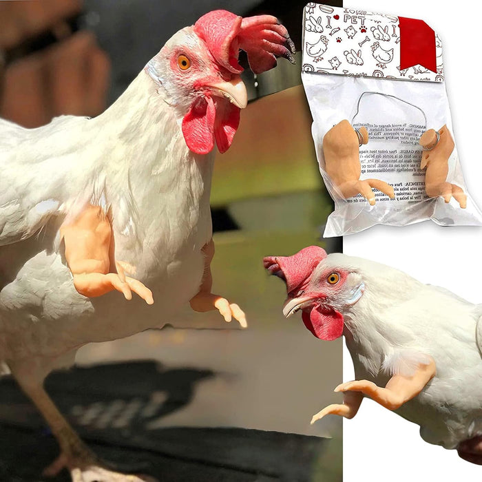 Chicken Wing Arms -4 Pack