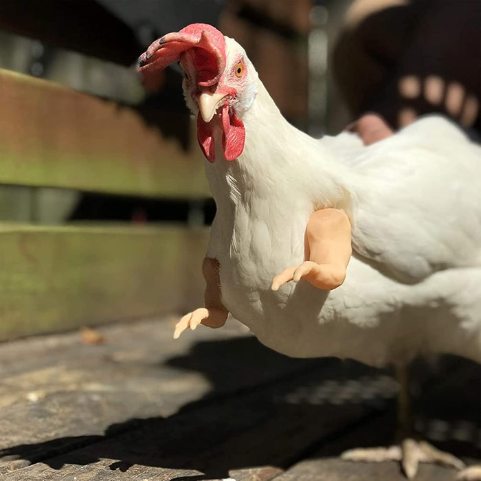 Chicken Wing Arms -4 Pack