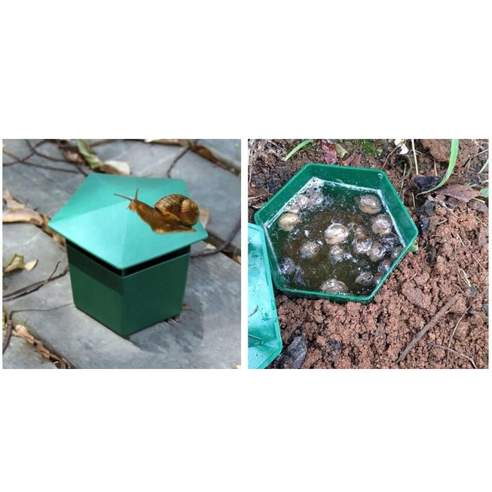 Snail Trap-2pack