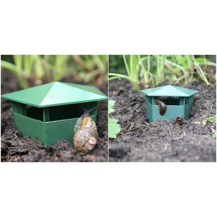 Snail Trap-2pack