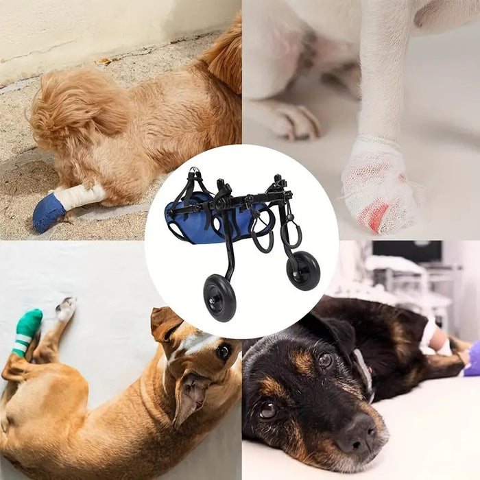 Dog Wheelchair for Back Legs