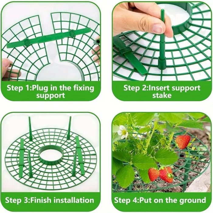 Strawberry Support Frame 5Pack