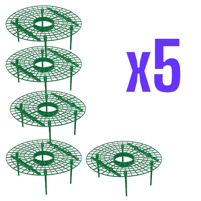 Strawberry Support Frame 5Pack