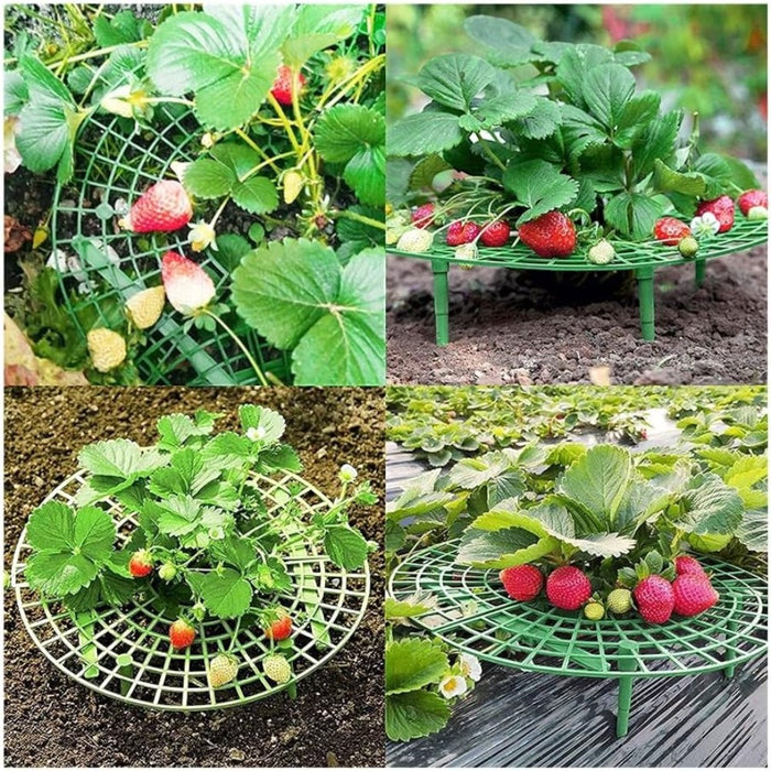Strawberry Support Frame 5Pack